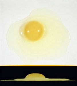 Detalle de Huevo Calidad A