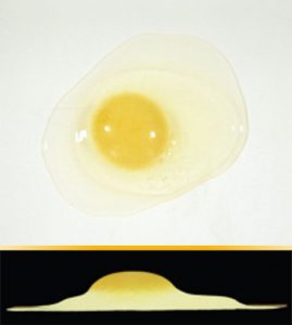 Detalle de Huevo Calidad AA