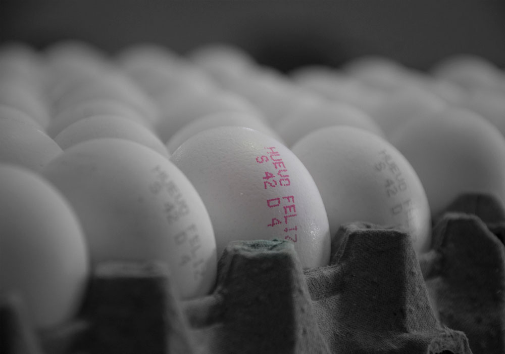 Innovación en Producción 2