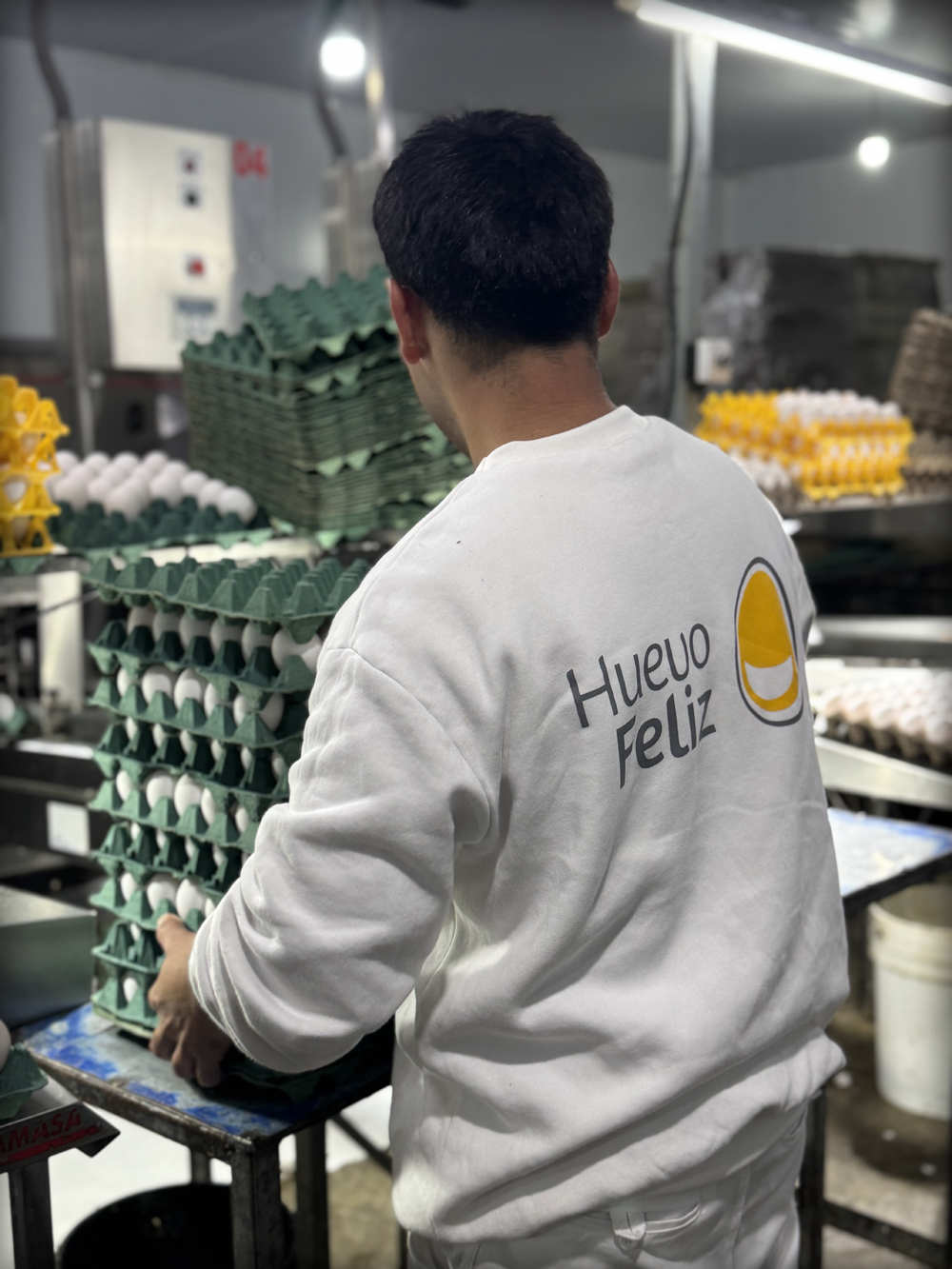 Innovación en Producción 1