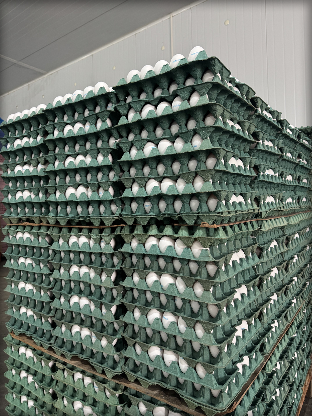 Innovación en Producción 3