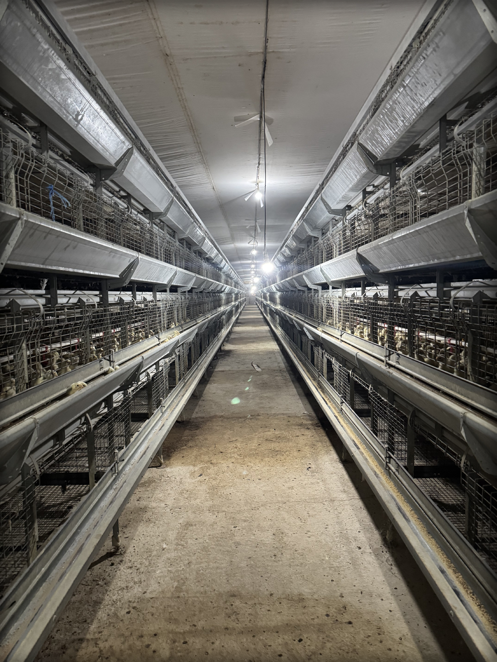 Innovación en Producción 4